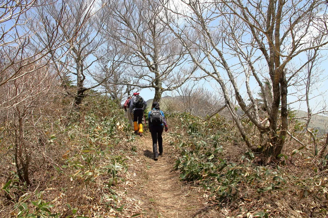 笹ヶ峰へ向う登山者