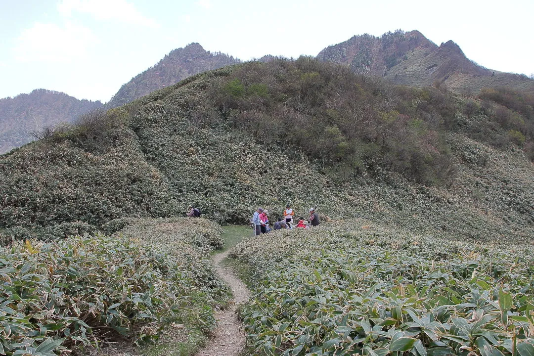 桑瀬峠