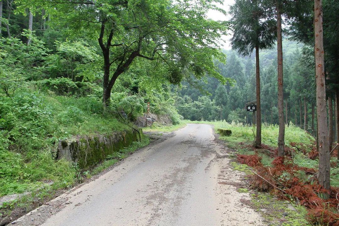 網谷林道・白谷登山口