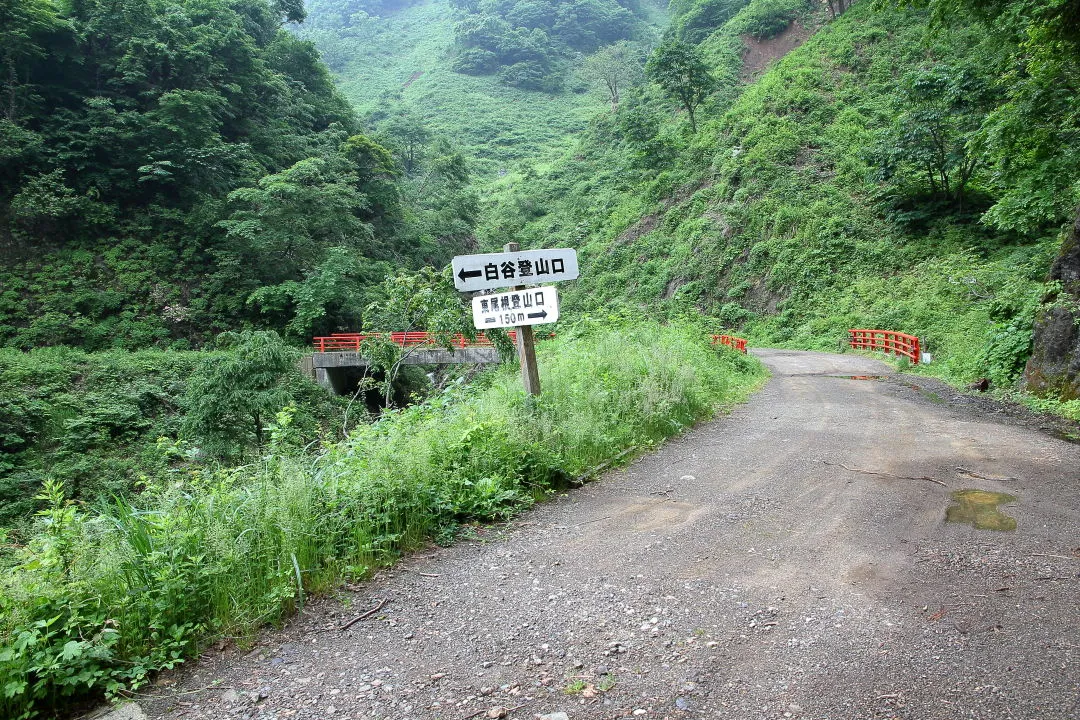 網谷林道