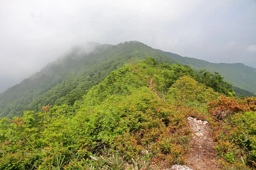 横山岳（西峰）