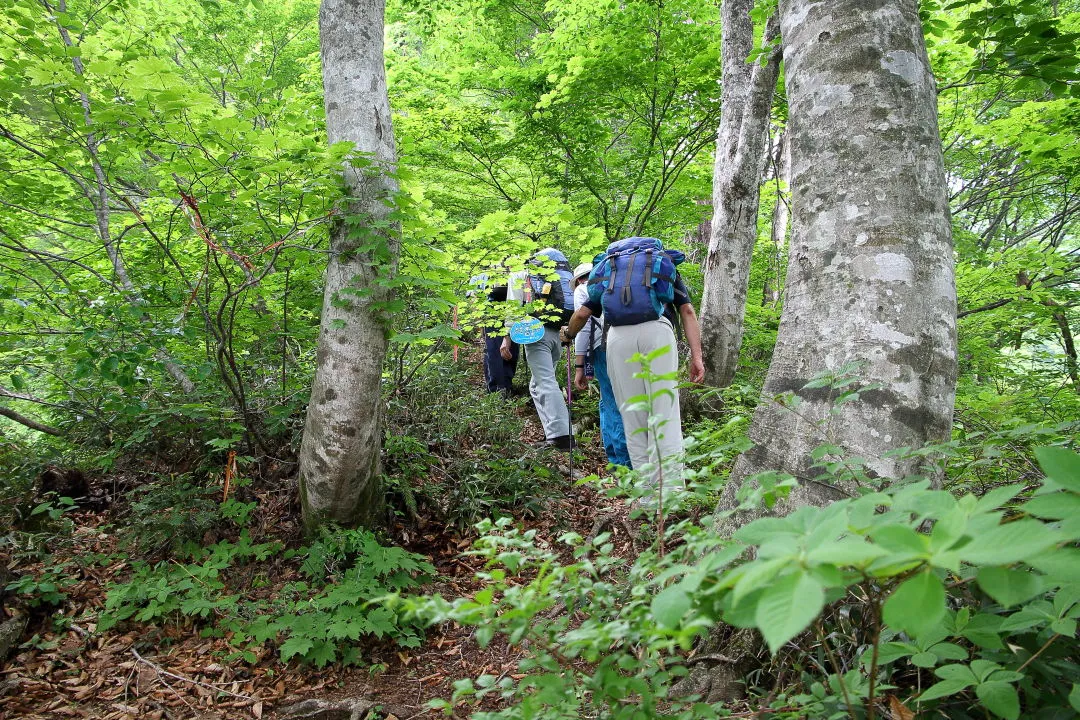 白谷登山道