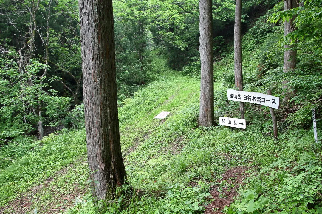 白谷本流道への合流部