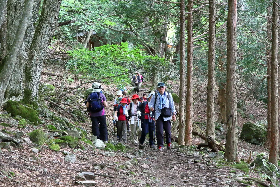 観音平休憩所から下って来た団体