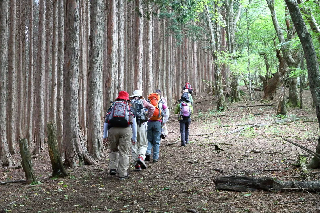 観音峯山山頂へ最後の登り