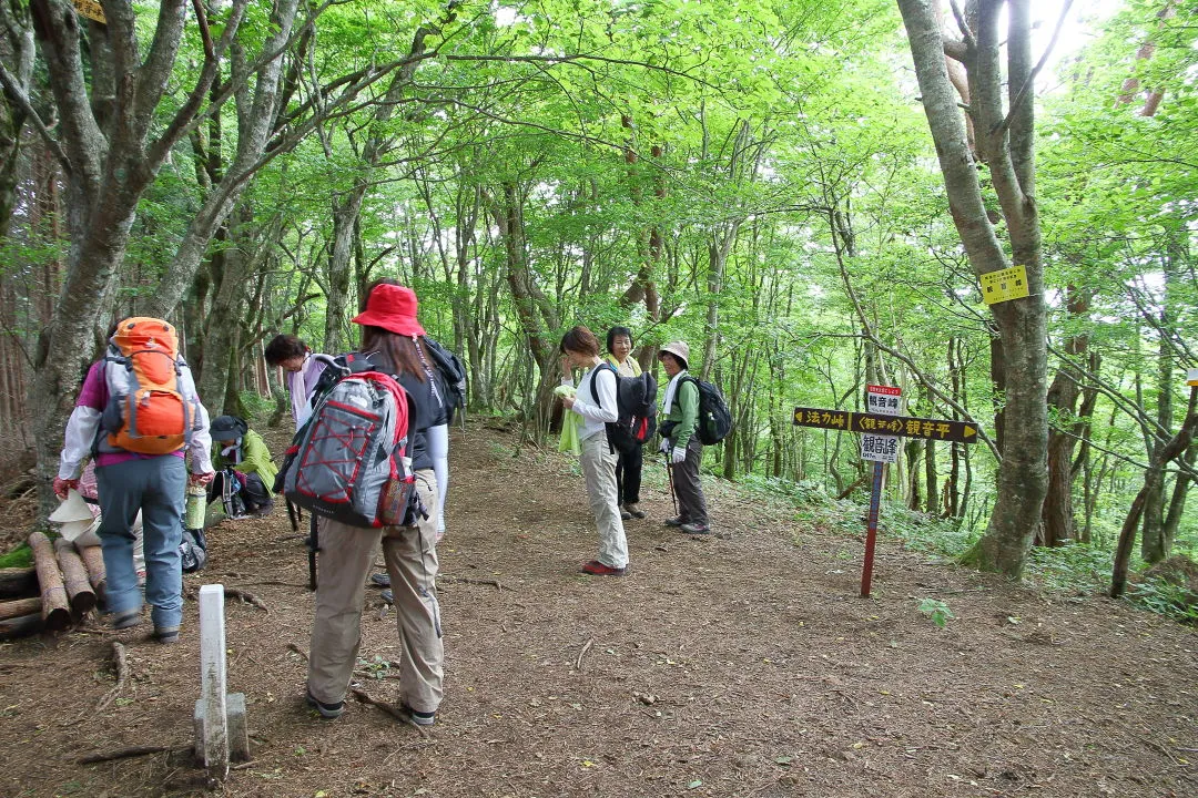 観音峯山山頂