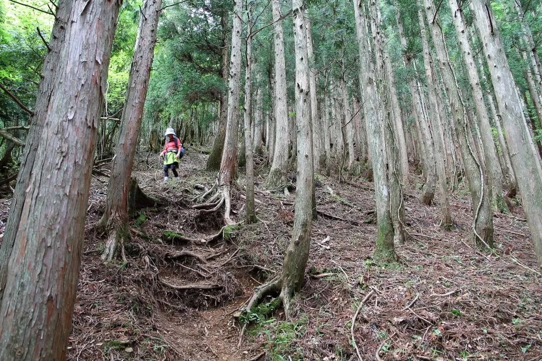 法力峠へ下る