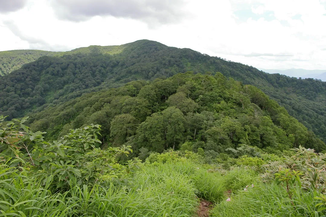 苅安山から赤兎山