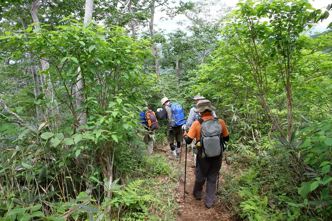 小原峠へ下る登山者