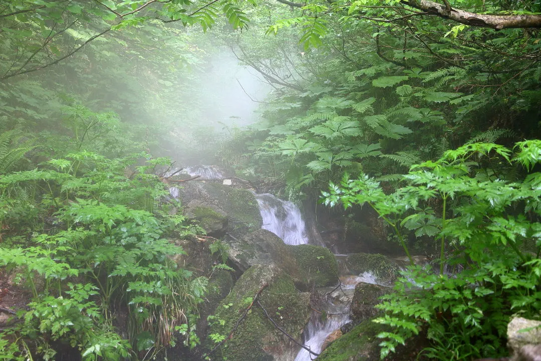 雨後の谷筋