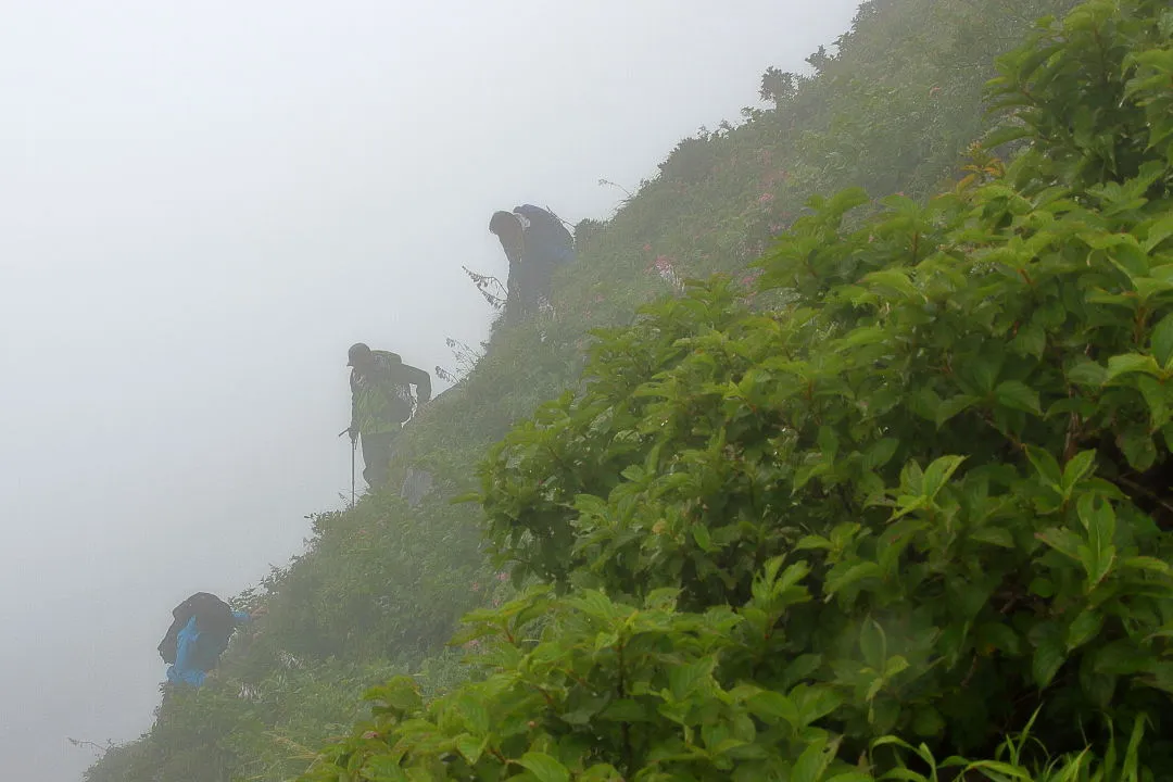 下山してきた登山者