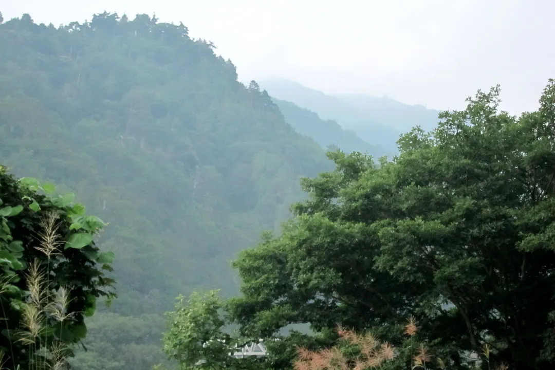 朝靄が山頂付近を覆う