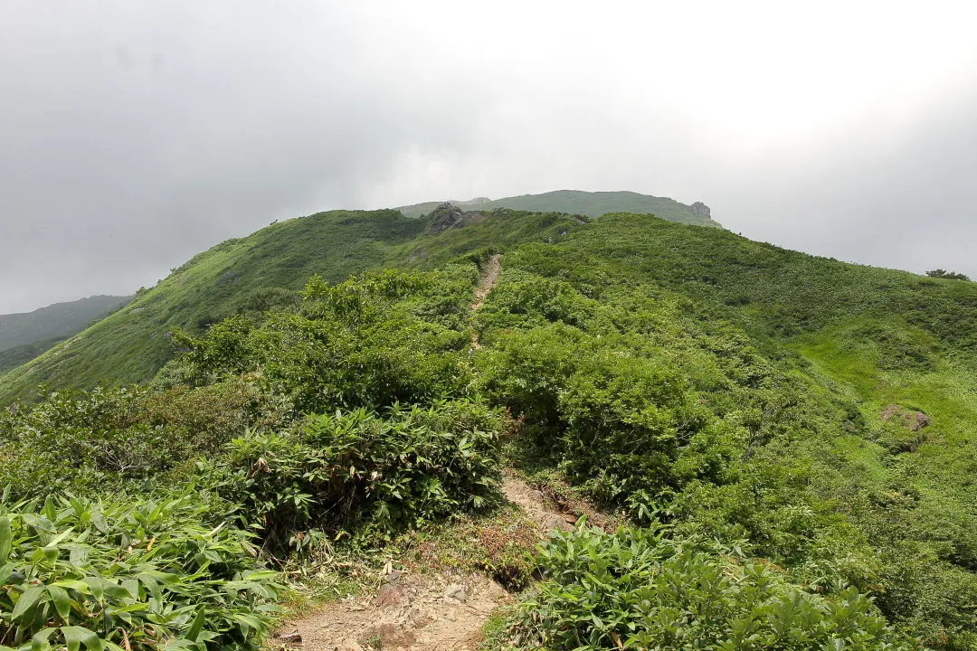 山頂方向を振返る