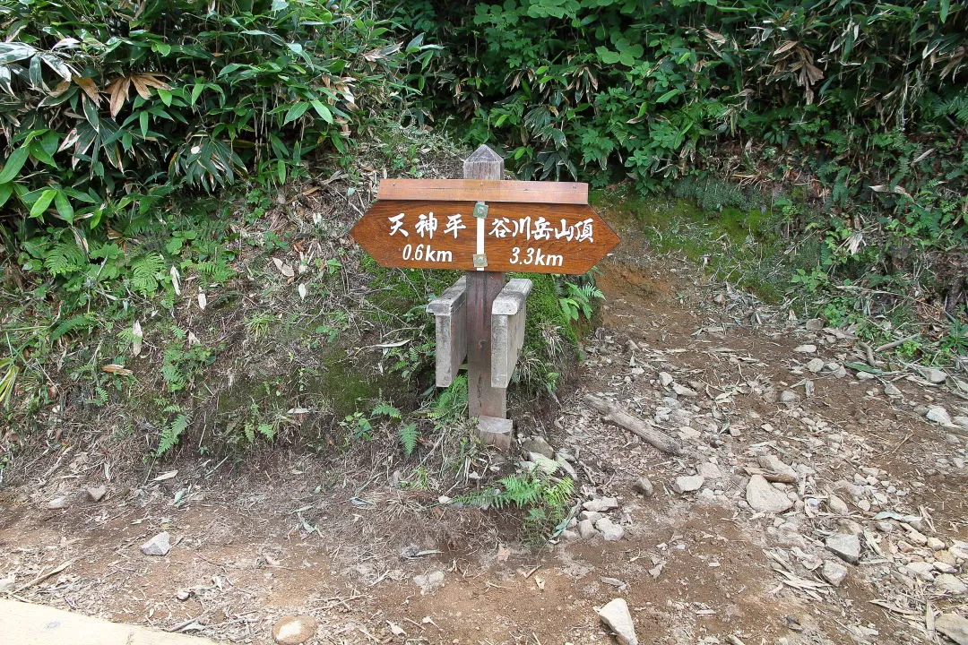 天神峠への登り口