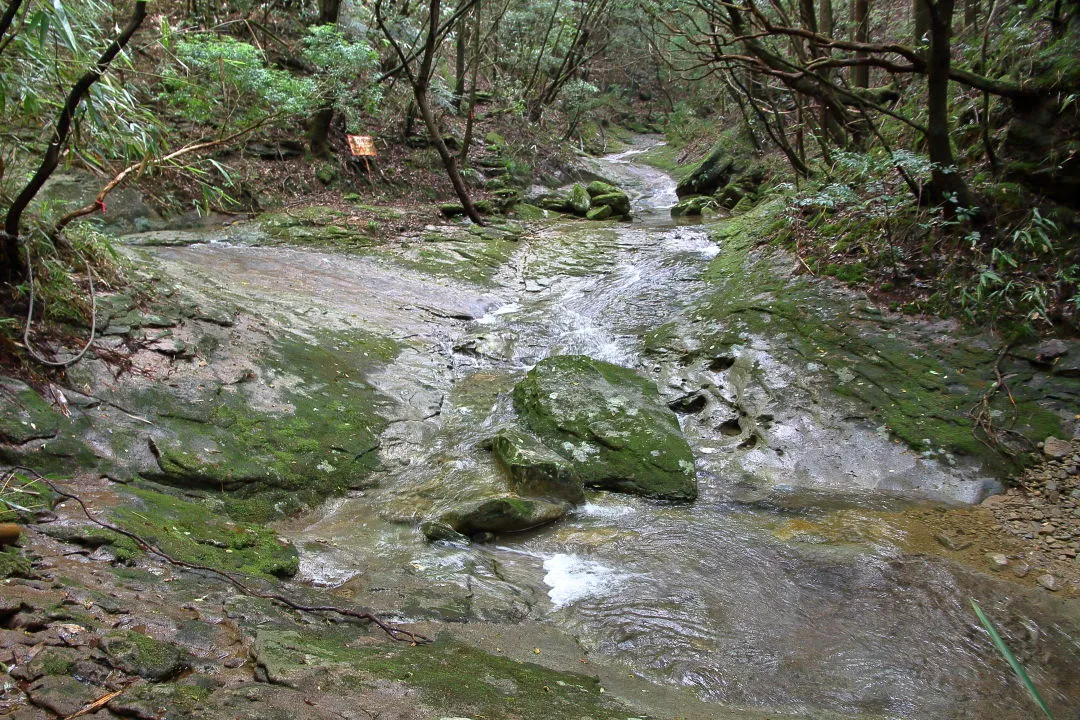 岩肌を覆う緩やかな流れ