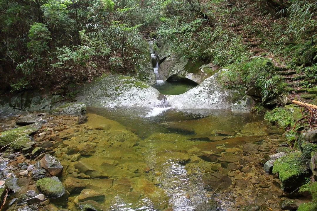 釜王の蓋