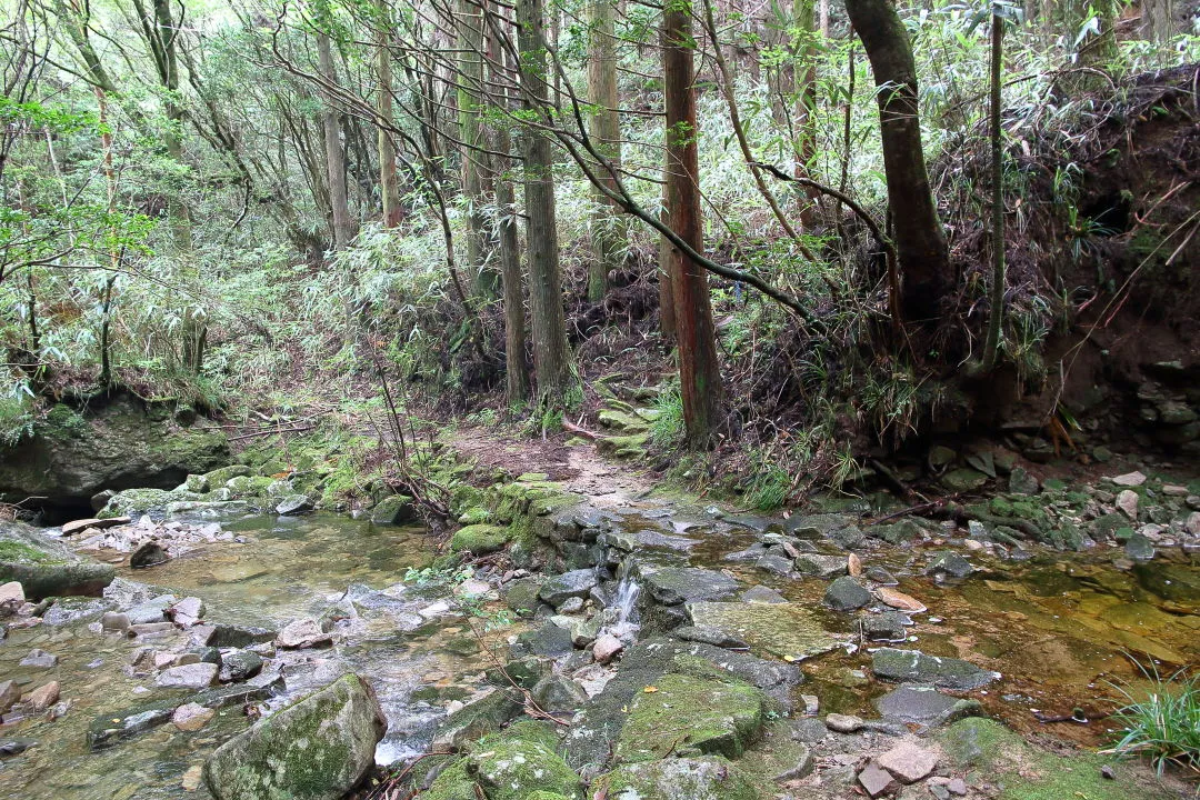 百間山登り口