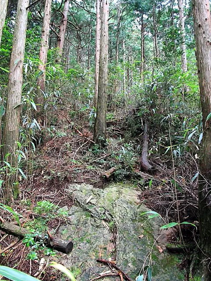 百間山への登山道