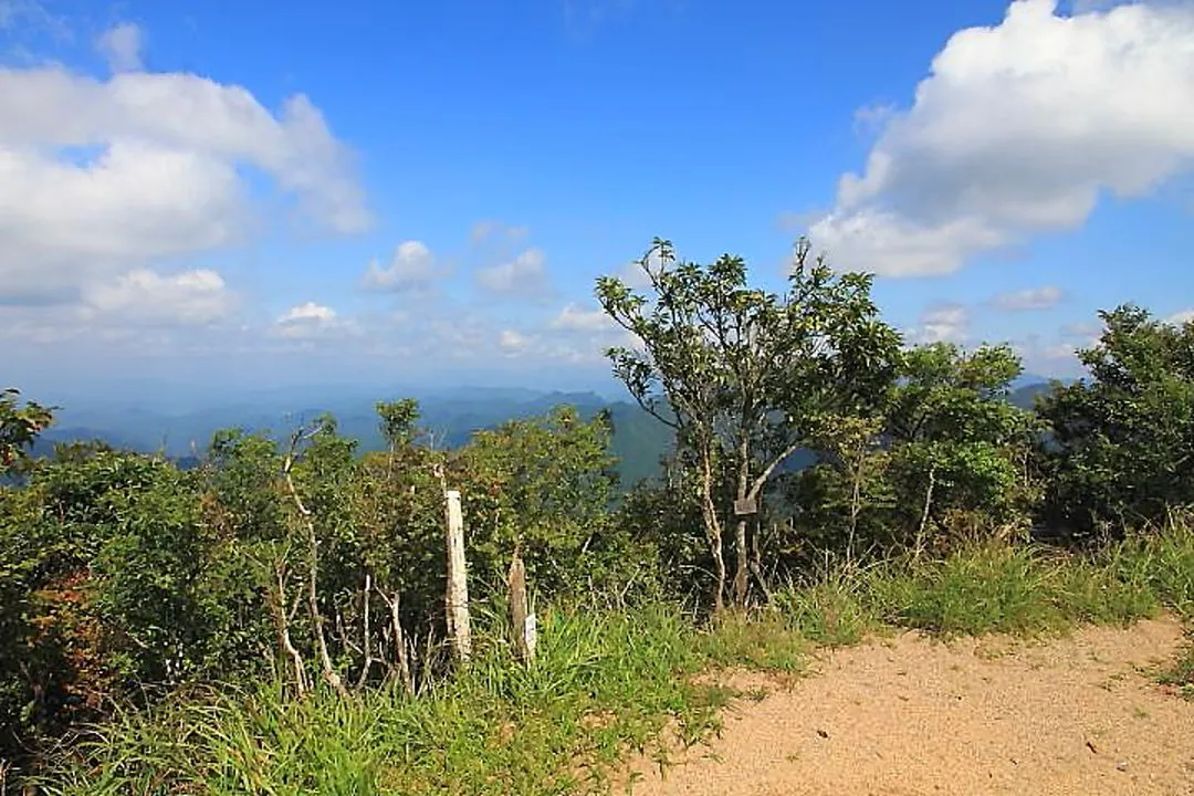 法師山山頂