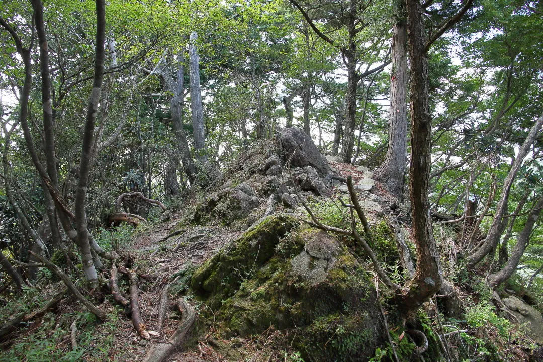 小さな岩塊部