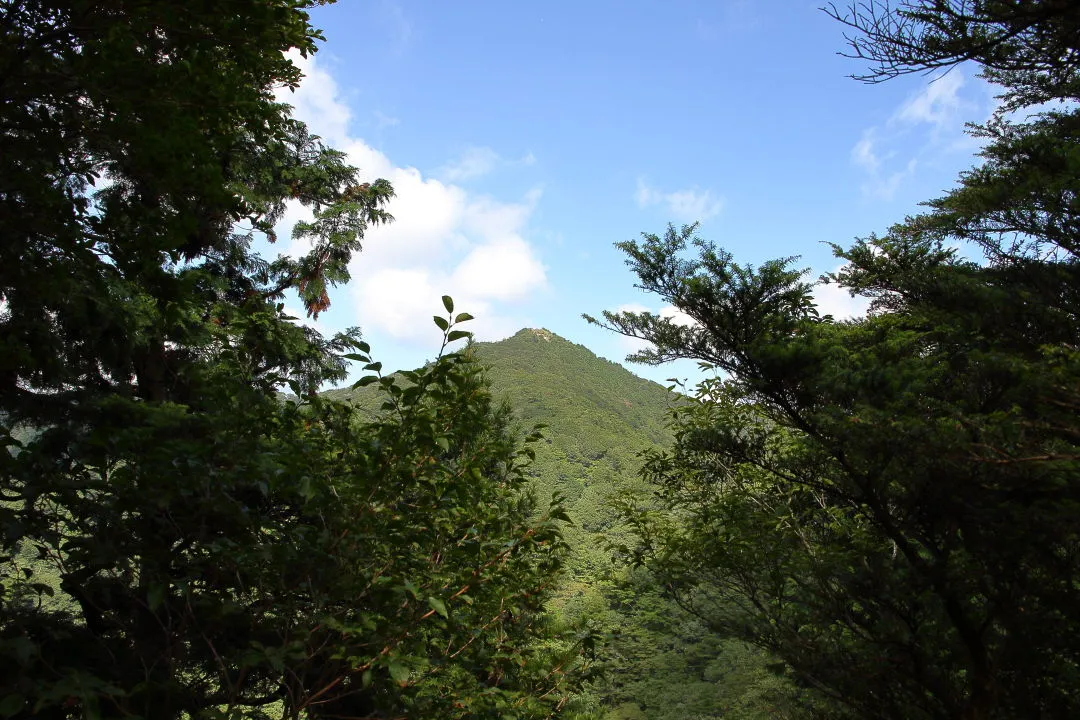 岩塊上から法師山