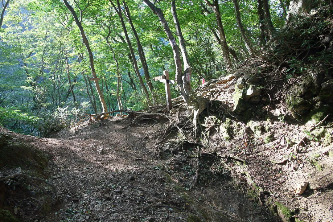 汗拭峠を振り返る