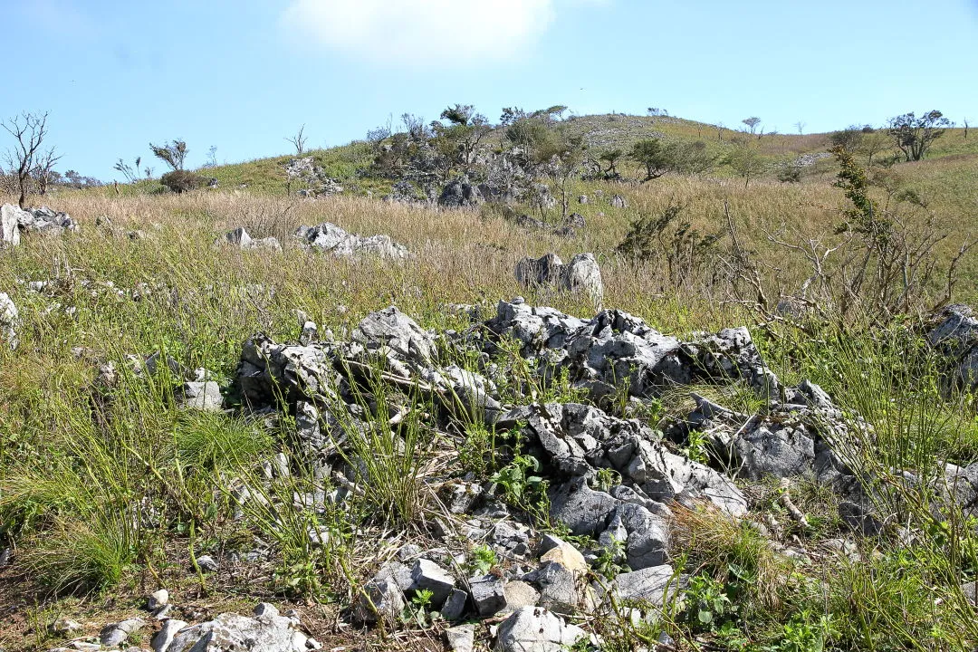 石灰岩の岩場