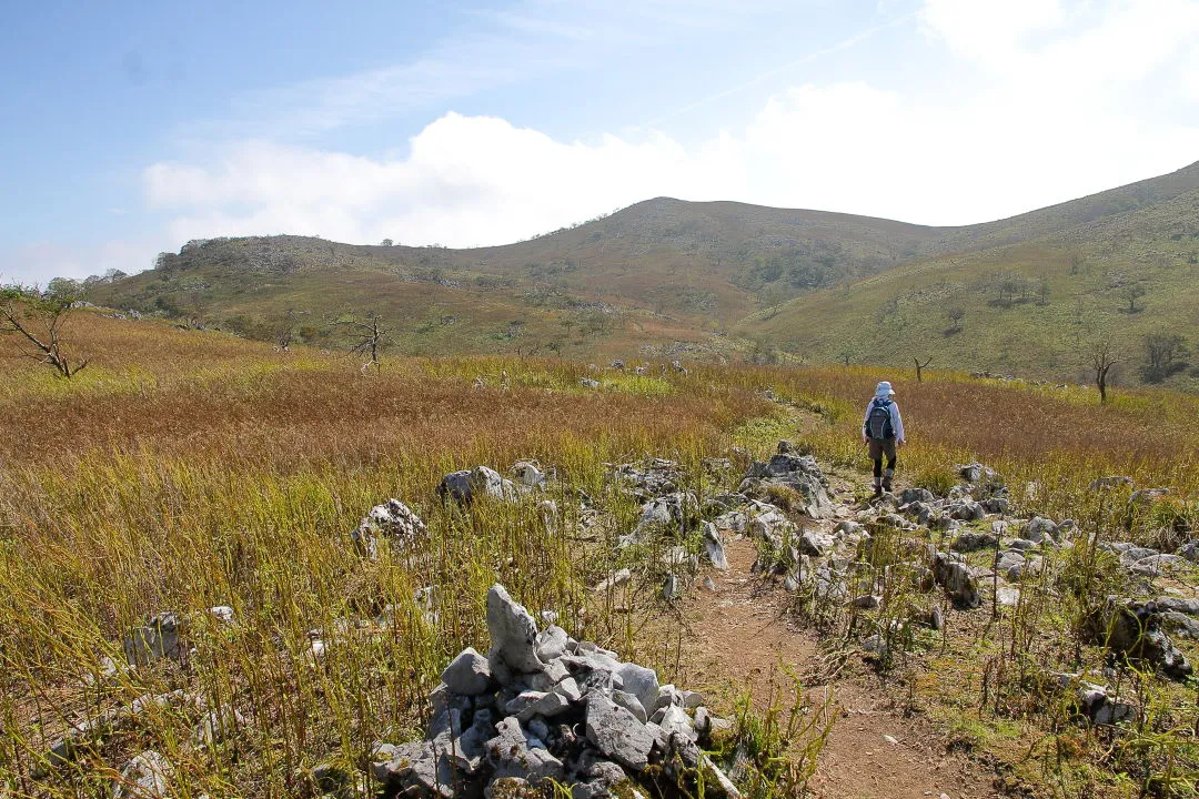 経塚山への登山道