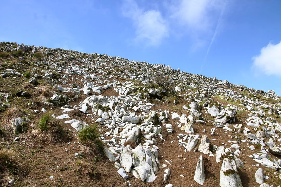 霊仙山への登山道