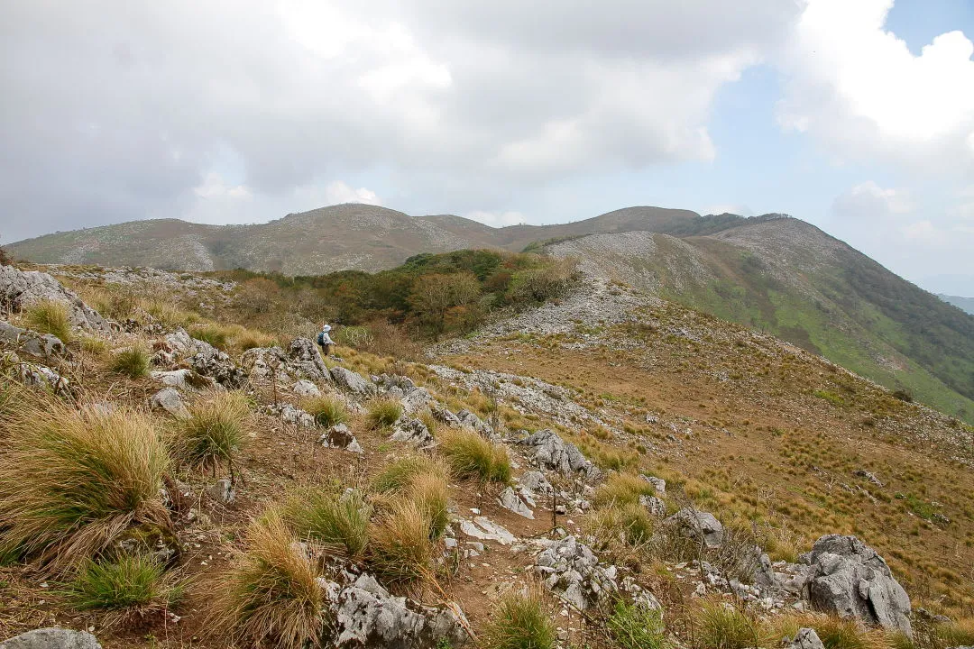 西南尾根と霊仙山