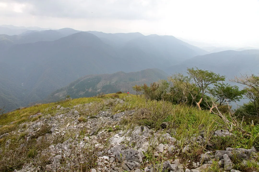 近江展望台から下山道