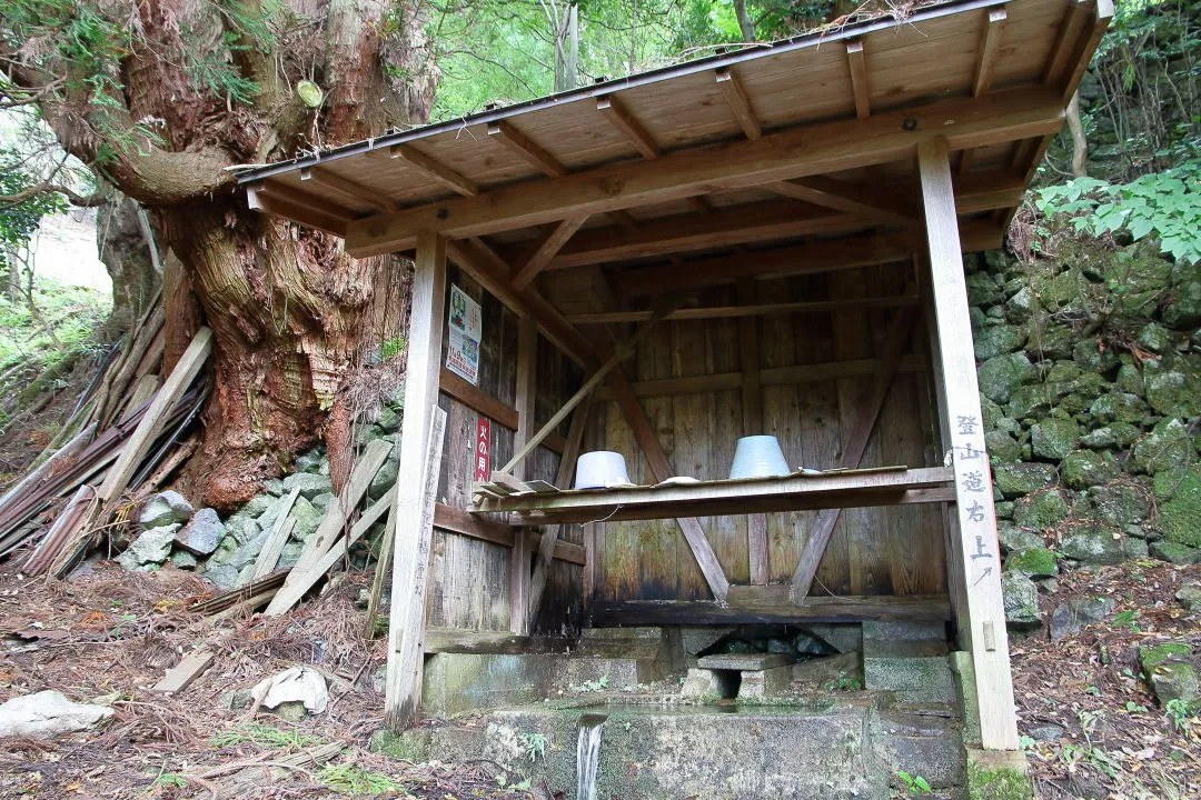 今畑廃村の水場