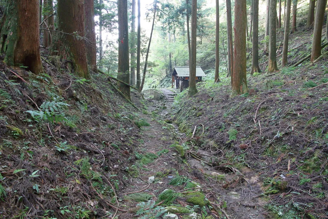 榑ヶ畑登山口