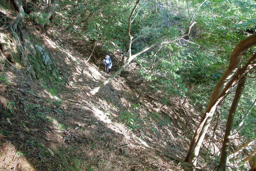 山腹の登山道