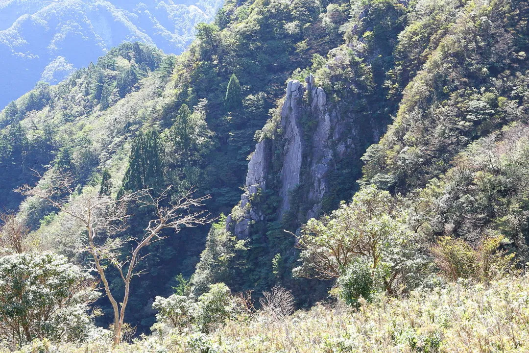 イワクラ尾根の磐座