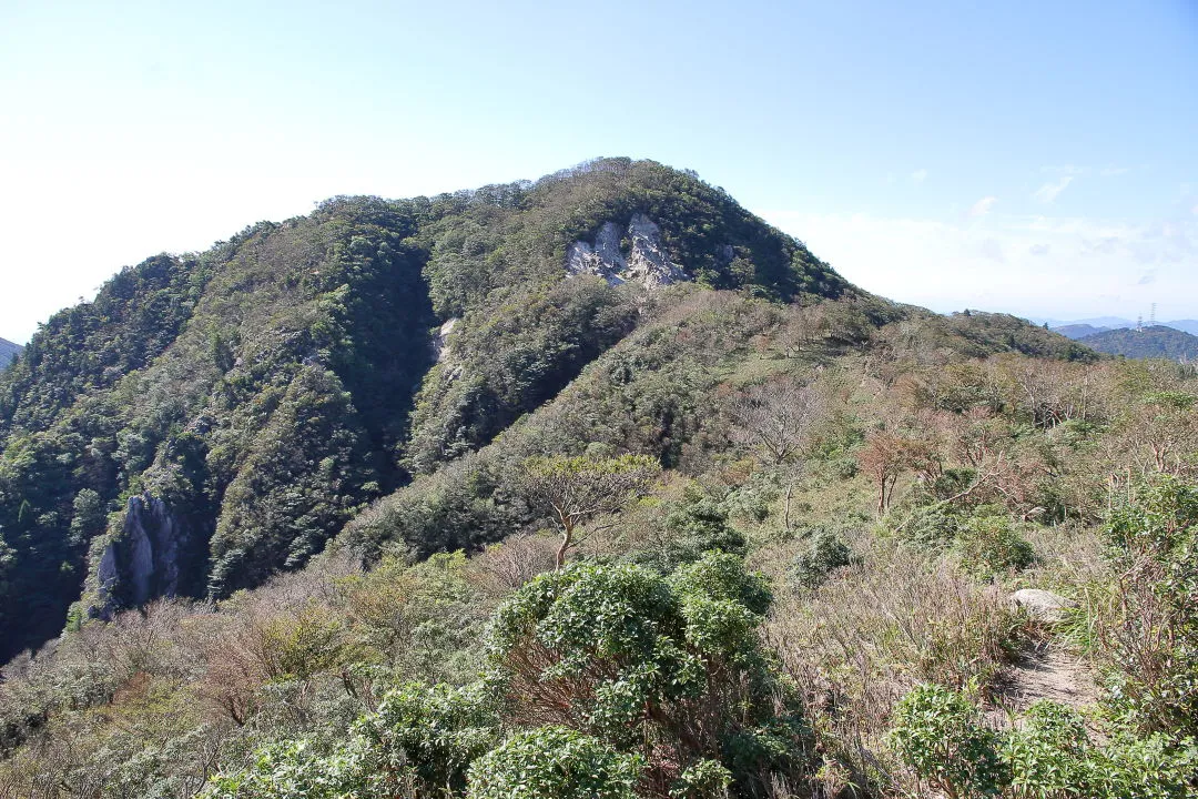 水沢岳を振返る