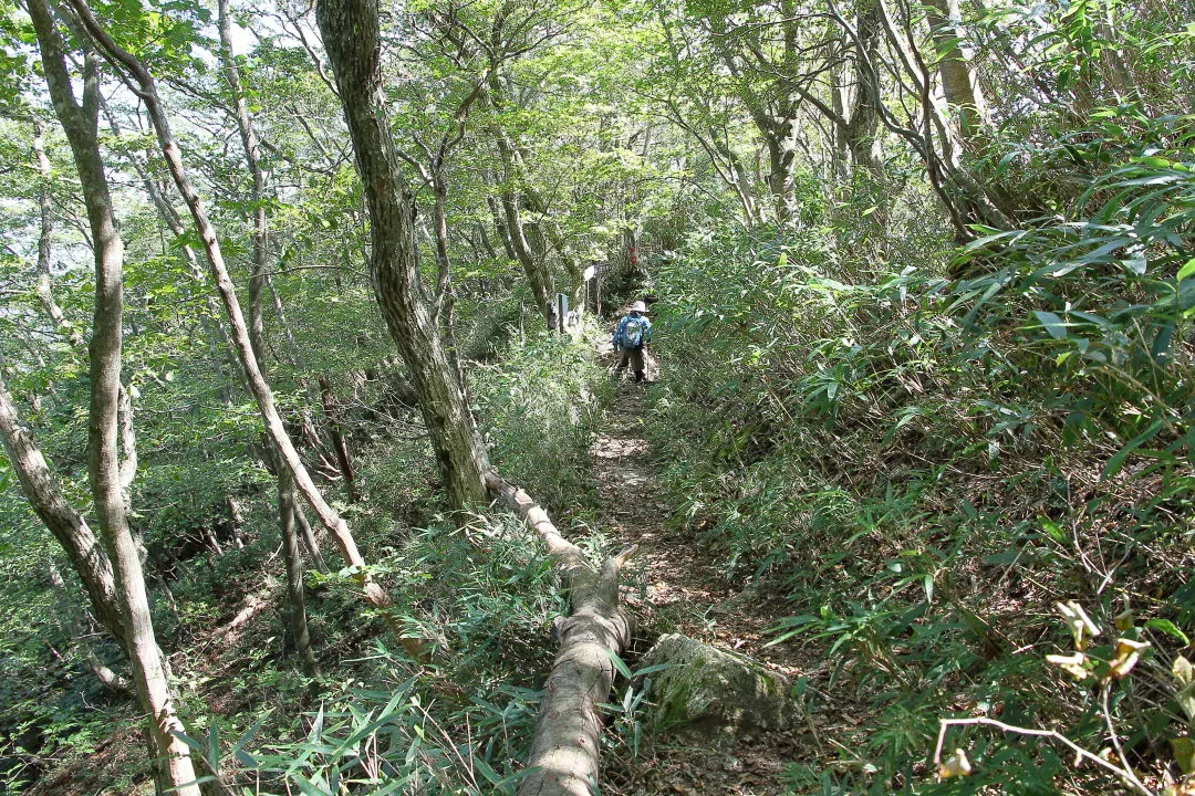 雲母峰への分岐部