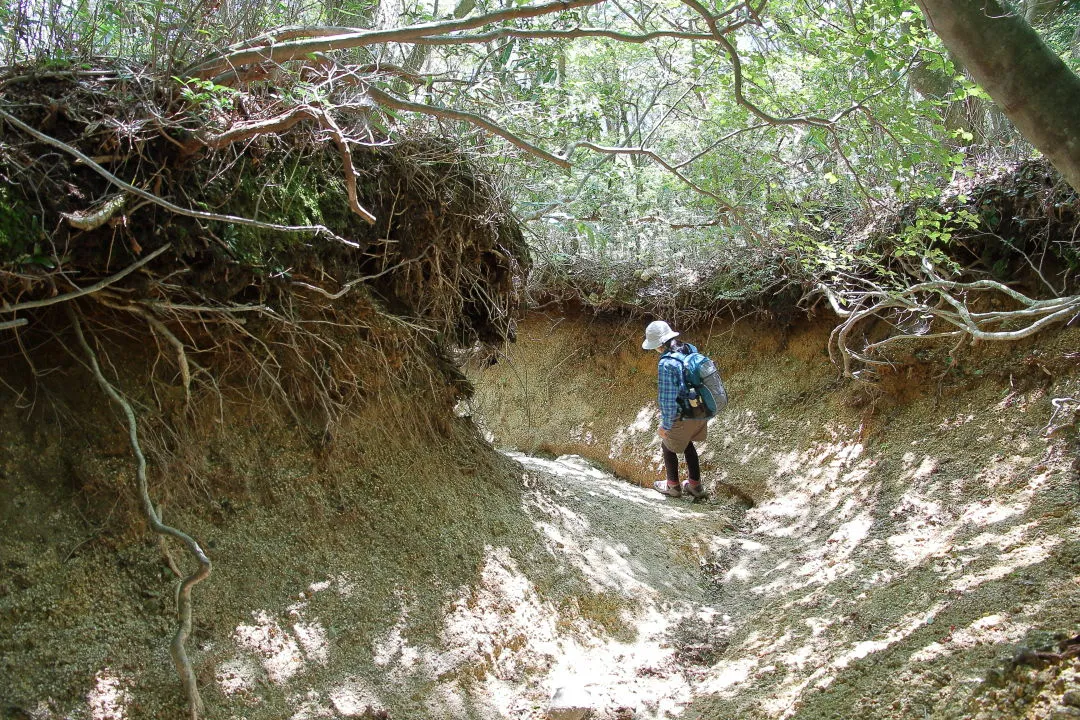 深く抉れたカズラ谷登山道