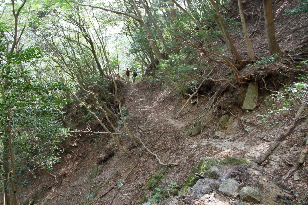 カズラ谷登山道