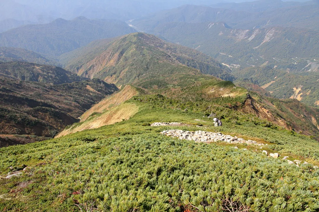 チブリ尾根を下る