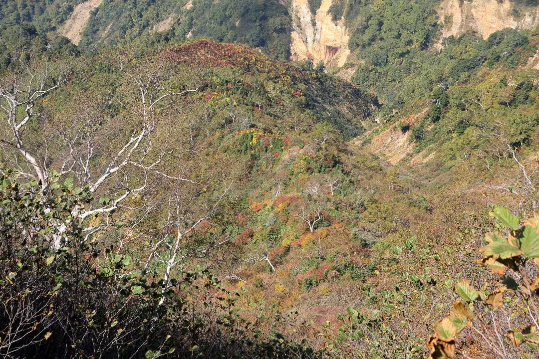 下方の赤谷に紅葉が見えた