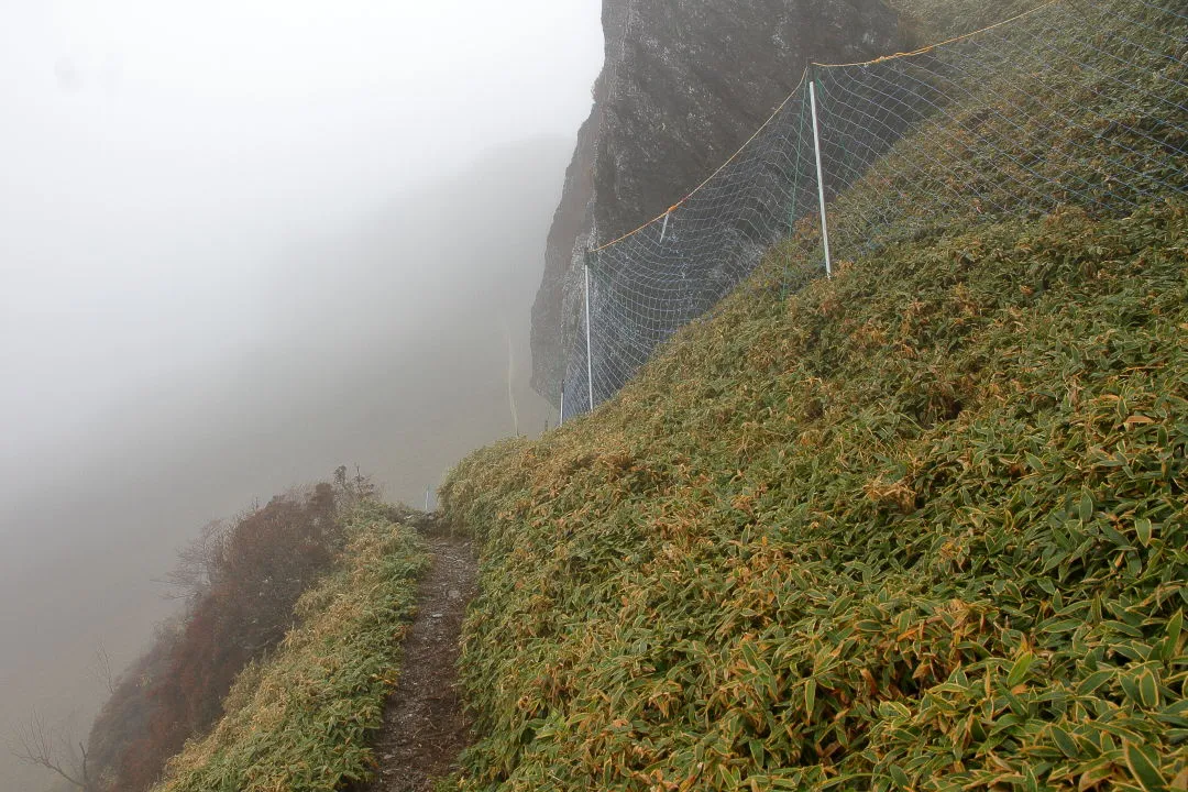 三嶺池直下の登山道