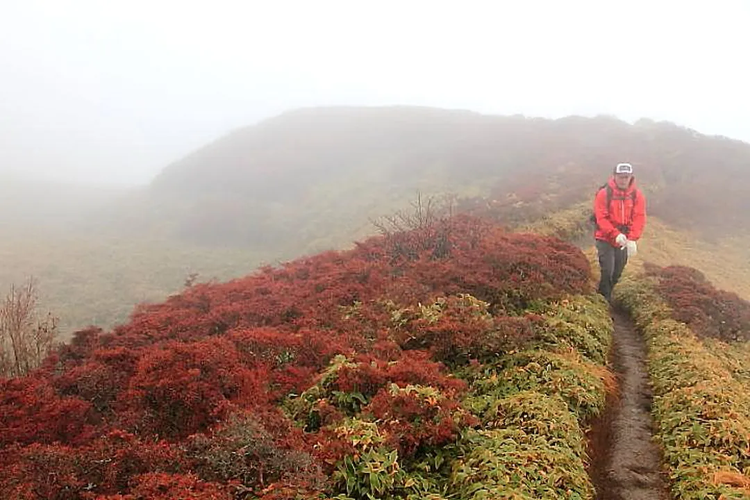 山頂へ向かう登山者