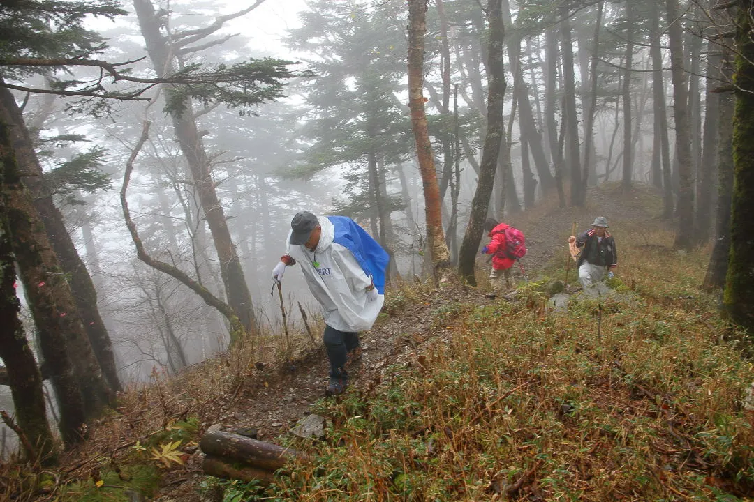 ダケモミの丘から山頂に