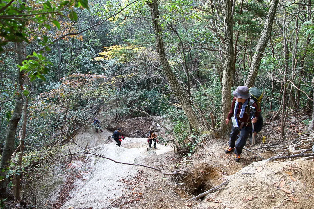 急坂の登山道