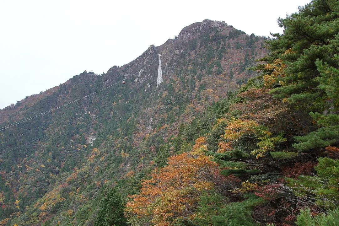 紅葉はイマイチ