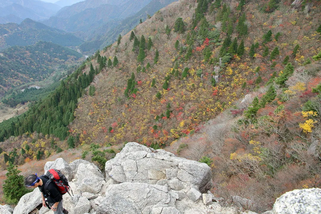 武平峠近くの紅葉