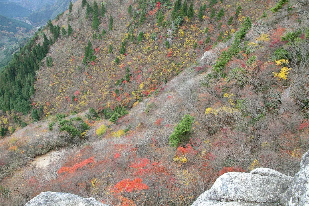 武平峠近くの紅葉