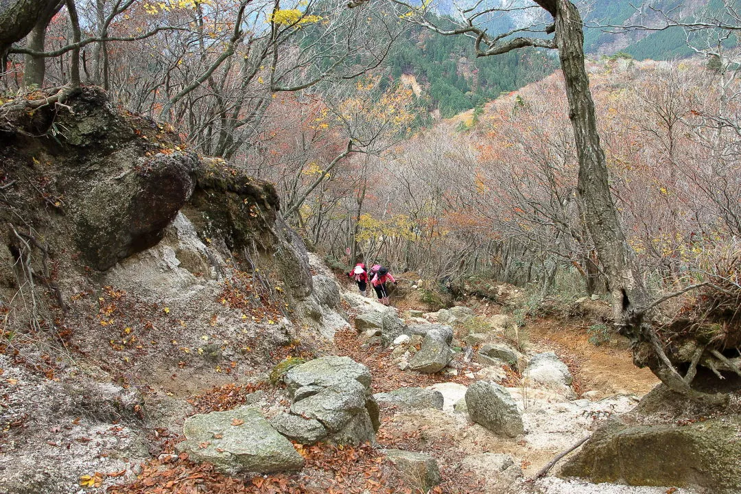鎌ヶ岳への登山道