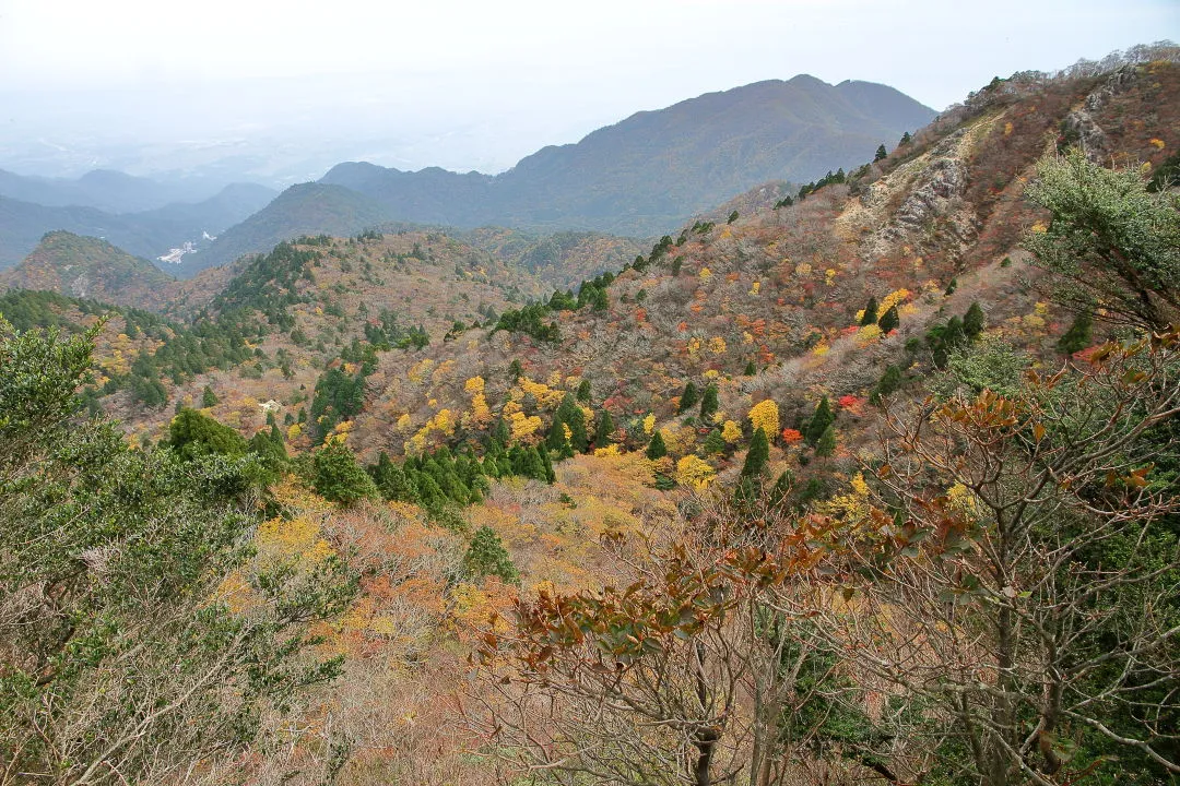 鎌ヶ岳中腹の紅葉